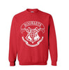 Harry Potter Hogwarts Men hoodies